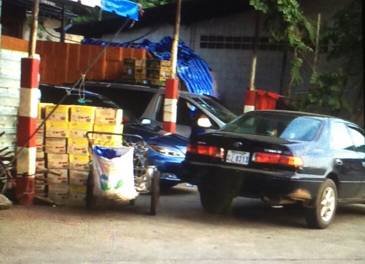 daung1