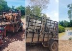 នាយ​ប៉ុស្តិ៍​នគរបាល​ព្រំដែន​ខ្សែ​ដែក បើកដៃ​ឲ្យ​ឈ្មួញ​សម្រុក​ដឹកជញ្ជូន​សត្វ​គោ​ហែល​ទឹក ឆ្លងដែន​ទៅ​លក់ នៅ​ប្រទេស​វៀតណាម ដោយ​រលូន រីឯ​សមត្ថកិច្ច​ជំនាញ រក្សា​ភាព​ស្ងៀមស្ងាត់